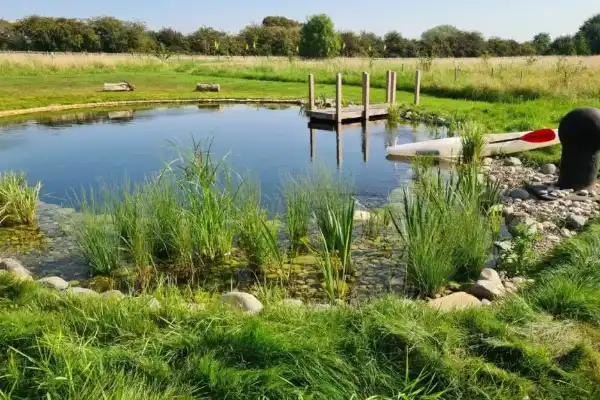 Natural swimming pond construction project in New Forest Hampshire